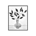 Picture of Black Vase Botanical II _GroupedProduct_Rectangle_Portrait_Canvas_Framed_