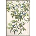 Picture of Hanging Leaves _GroupedProduct_Rectangle_Portrait_Canvas_Framed_