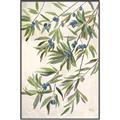 Picture of Hanging Leaves _GroupedProduct_Rectangle_Portrait_Canvas_Framed_