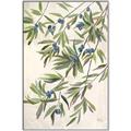 Picture of Hanging Leaves _GroupedProduct_Rectangle_Portrait_Canvas_Framed_