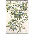 Picture of Hanging Leaves _GroupedProduct_Rectangle_Portrait_Canvas_Framed_