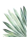 Picture of Tropical Leaf I  _GroupedProduct_Rectangle_Portrait_Unframed_Print_Only_