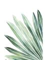 Picture of Tropical Leaf I  _GroupedProduct_Rectangle_Portrait_Unframed_Print_Only_