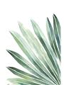 Picture of Tropical Leaf I  _GroupedProduct_Rectangle_Portrait_Unframed_Print_Only_