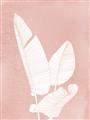 Picture of Pink Palm I _GroupedProduct_Rectangle_Portrait_Unframed_Print_Only_
