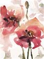 Picture of Red Poppies I _GroupedProduct_Rectangle_Portrait_Unframed_Print_Only_