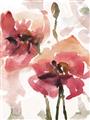 Picture of Red Poppies I _GroupedProduct_Rectangle_Portrait_Unframed_Print_Only_