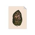 Picture of Color Block Leaves I  _GroupedProduct_Rectangle_Portrait_Unframed_Print_Only_