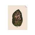 Picture of Color Block Leaves I  _GroupedProduct_Rectangle_Portrait_Unframed_Print_Only_