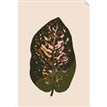Picture of Color Block Leaves I  _GroupedProduct_Rectangle_Portrait_Unframed_Print_Only_