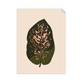 Picture of Color Block Leaves I  _GroupedProduct_Rectangle_Portrait_Unframed_Print_Only_
