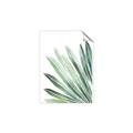 Picture of Tropical Leaf I  _GroupedProduct_Rectangle_Portrait_Unframed_Print_Only_