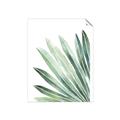 Picture of Tropical Leaf I  _GroupedProduct_Rectangle_Portrait_Unframed_Print_Only_