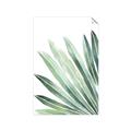 Picture of Tropical Leaf I  _GroupedProduct_Rectangle_Portrait_Unframed_Print_Only_
