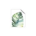 Picture of Tropical Leaf II _GroupedProduct_Rectangle_Portrait_Unframed_Print_Only_