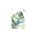 Picture of Tropical Leaf II _GroupedProduct_Rectangle_Portrait_Unframed_Print_Only_