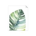 Picture of Tropical Leaf II _GroupedProduct_Rectangle_Portrait_Unframed_Print_Only_