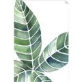 Picture of Tropical Leaf IV _GroupedProduct_Rectangle_Portrait_Unframed_Print_Only_