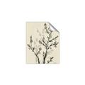 Picture of Shadow Botanical II _GroupedProduct_Rectangle_Portrait_Unframed_Print_Only_