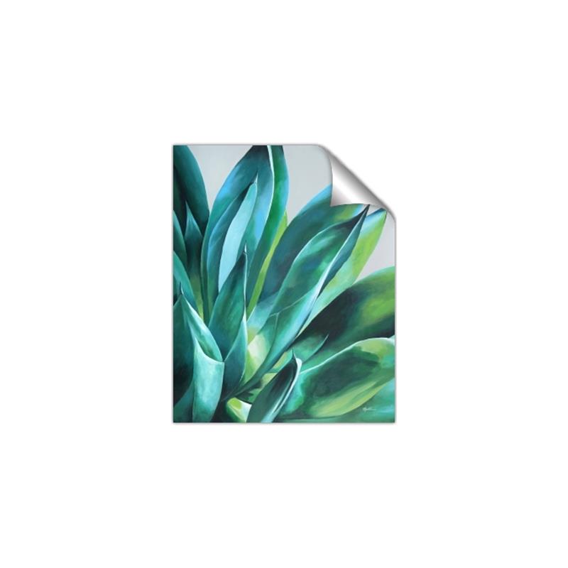 Picture of Extreme Succulent _GroupedProduct_Rectangle_Portrait_Unframed_Print_Only_