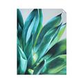 Picture of Extreme Succulent _GroupedProduct_Rectangle_Portrait_Unframed_Print_Only_