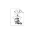 Picture of Hand Drawn Vase _GroupedProduct_Rectangle_Portrait_Unframed_Print_Only_