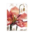 Picture of Red Poppies II _GroupedProduct_Rectangle_Portrait_Unframed_Print_Only_