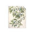 Picture of Hanging Leaves _GroupedProduct_Rectangle_Portrait_Unframed_Print_Only_