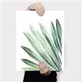 Picture of Tropical Leaf I  _GroupedProduct_Rectangle_Portrait_Canvas_