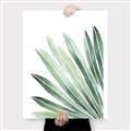 Picture of Tropical Leaf I  _GroupedProduct_Rectangle_Portrait_Canvas_