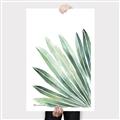 Picture of Tropical Leaf I  _GroupedProduct_Rectangle_Portrait_Canvas_