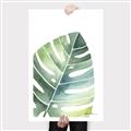 Picture of Tropical Leaf II _GroupedProduct_Rectangle_Portrait_Canvas_