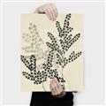 Picture of Shadow Botanical I  _GroupedProduct_Rectangle_Portrait_Canvas_