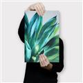 Picture of Extreme Succulent _GroupedProduct_Rectangle_Portrait_Canvas_