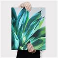 Picture of Extreme Succulent _GroupedProduct_Rectangle_Portrait_Canvas_