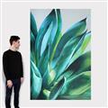 Picture of Extreme Succulent _GroupedProduct_Rectangle_Portrait_Canvas_