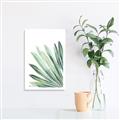 Picture of Tropical Leaf I  _GroupedProduct_Rectangle_Portrait_Canvas_