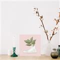 Picture of Plant Shoe Pink _GroupedProduct_Square_Canvas_