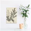 Picture of Shadow Botanical I  _GroupedProduct_Rectangle_Portrait_Canvas_