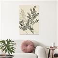Picture of Shadow Botanical I  _GroupedProduct_Rectangle_Portrait_Canvas_