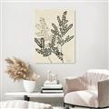 Picture of Shadow Botanical I  _GroupedProduct_Rectangle_Portrait_Canvas_