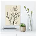 Picture of Shadow Botanical II _GroupedProduct_Rectangle_Portrait_Canvas_