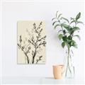 Picture of Shadow Botanical II _GroupedProduct_Rectangle_Portrait_Canvas_