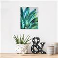 Picture of Extreme Succulent _GroupedProduct_Rectangle_Portrait_Canvas_