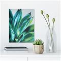 Picture of Extreme Succulent _GroupedProduct_Rectangle_Portrait_Canvas_