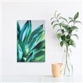 Picture of Extreme Succulent _GroupedProduct_Rectangle_Portrait_Canvas_
