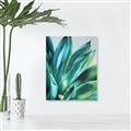 Picture of Extreme Succulent _GroupedProduct_Rectangle_Portrait_Canvas_