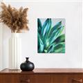 Picture of Extreme Succulent _GroupedProduct_Rectangle_Portrait_Canvas_