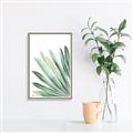 Picture of Tropical Leaf I  _GroupedProduct_Rectangle_Portrait_Canvas_Framed_