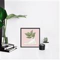 Picture of Plant Shoe Pink _GroupedProduct_Square_Canvas_Framed_